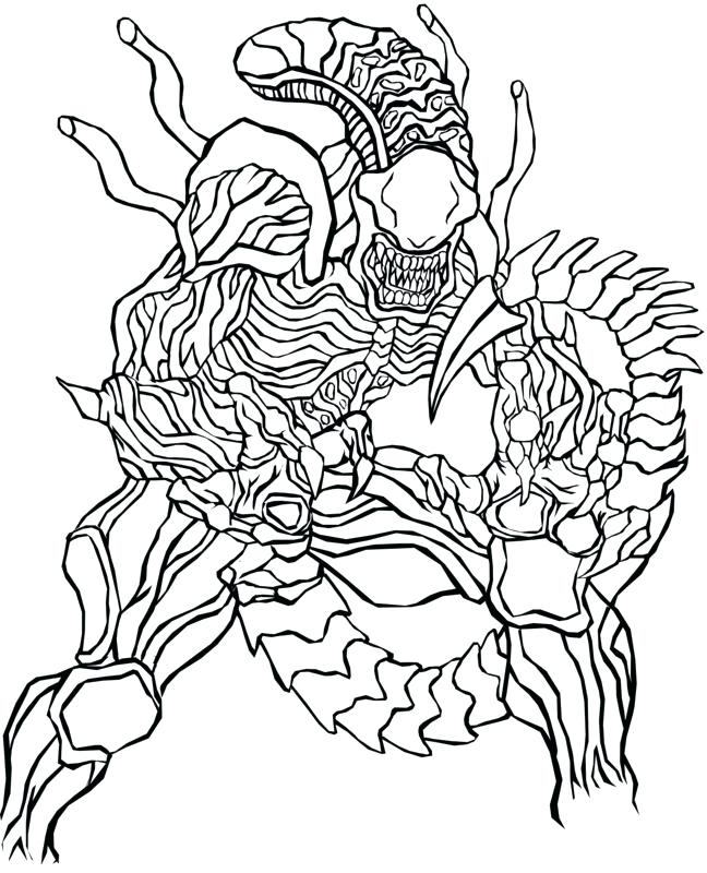 648x800 Nashville Predators Colouring Pages Female Predator Coloring