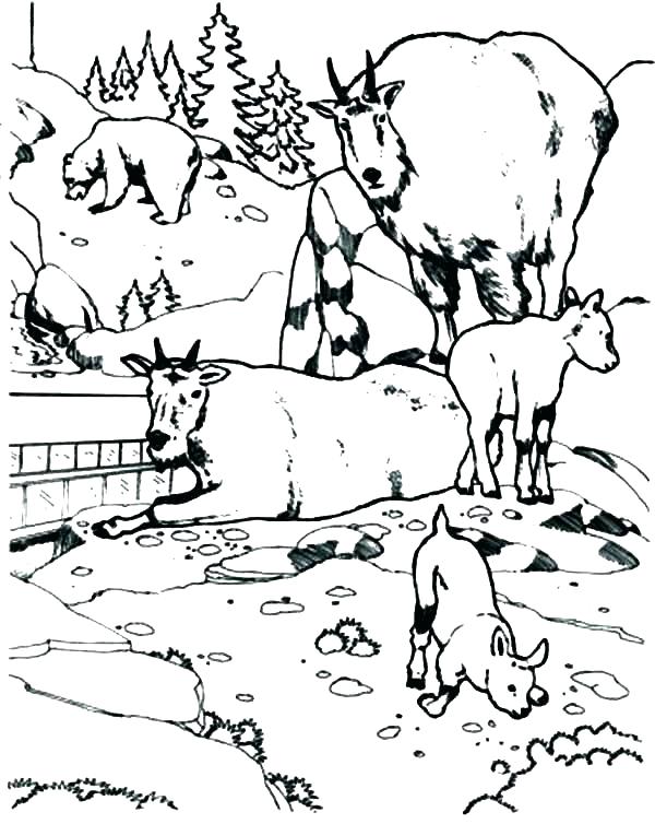 600x754 Lion Guard Coloring Book Together Unleash The Power