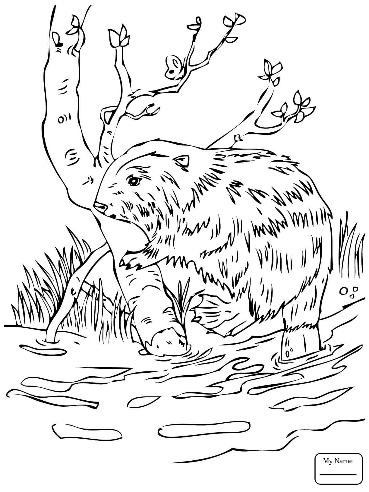 National Park Coloring Pages