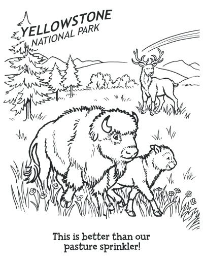 400x518 Yellowstone National Park Coloring Pages Awesome National Park