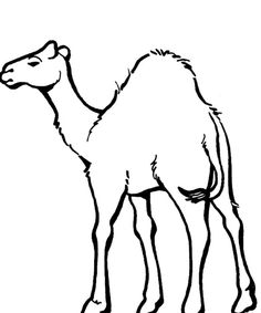 236x283 Printable Picture Of A Camel Camel Coloring Pages