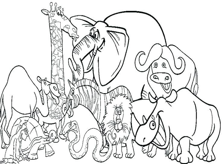 736x544 Nativity Animals Coloring Pages
