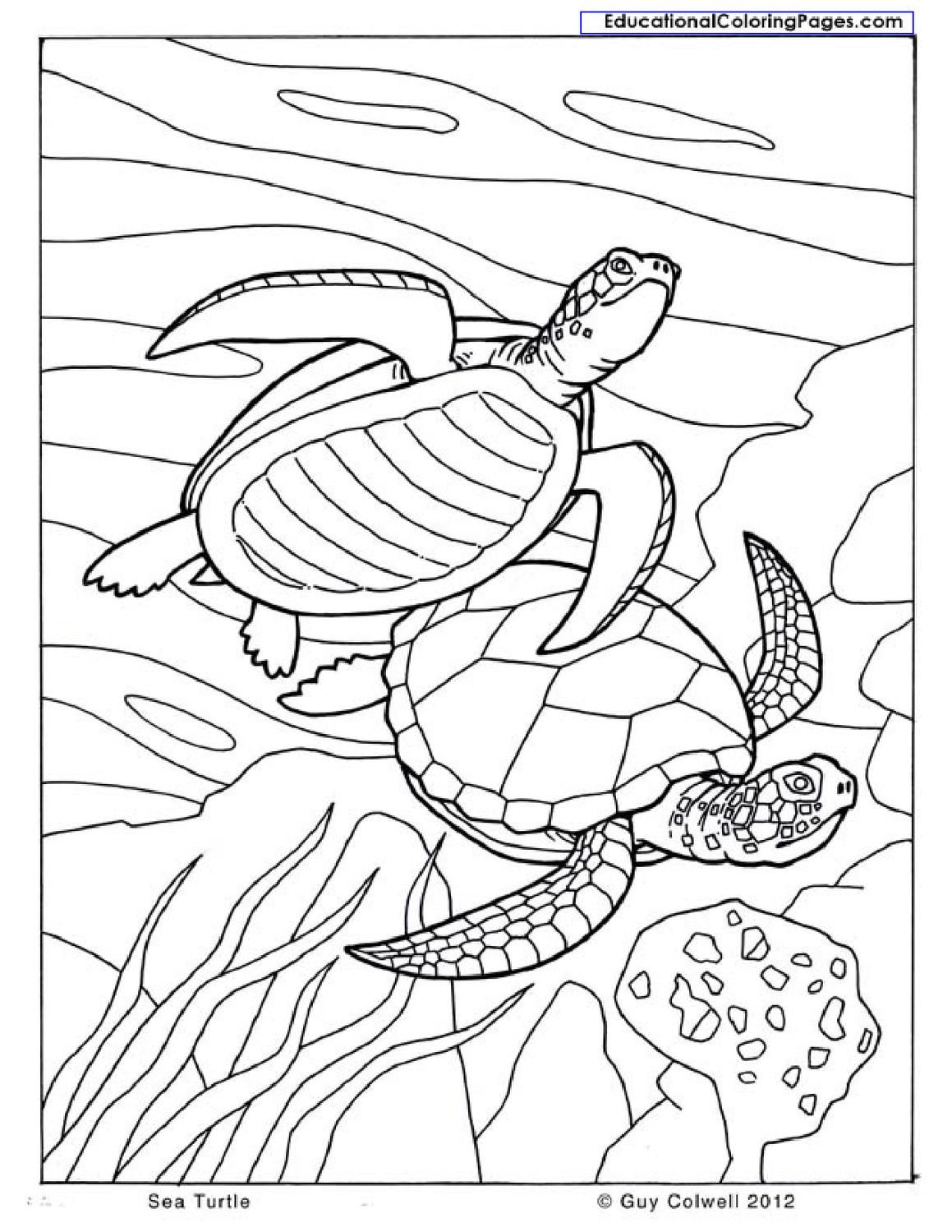 1159x1499 Natural Coloring Books Coloring Books, Natural And Books
