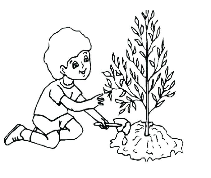 679x574 Natural Resources Coloring Pages Natural Resources Coloring Pages