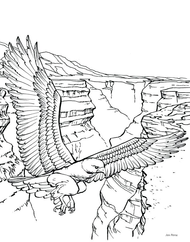 662x842 Scenery Coloring Pages Natural Scenery Coloring Pages
