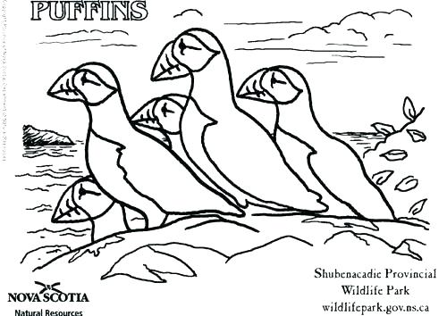 500x354 Natural Resources Coloring Pages Natural Resources Coloring Pages