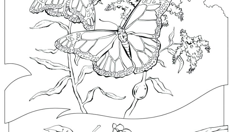 750x425 Natural Resources Coloring Pages Net Imge Wllpper Downlod Nturl