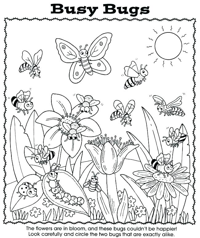 650x770 Bug Coloring Page Coloring Pages Nature Coloring Page Bugs Bug