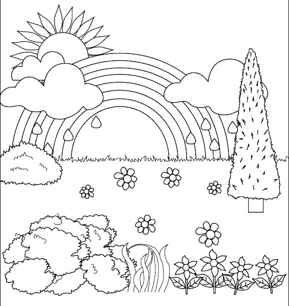 567x600 Coloring Pictures Of Nature