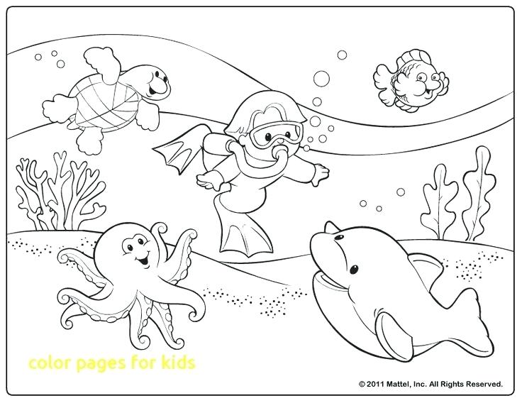 736x568 Free Printable Nature Coloring Pages Nature Coloring Books Plus