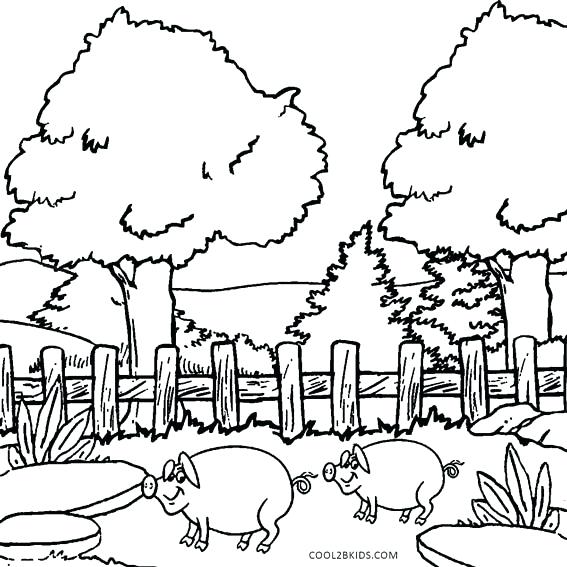 567x567 Nature Coloring Page Nature Coloring Pages Preschool Nature