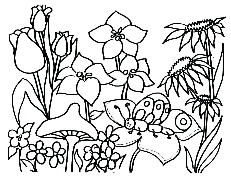 906x700 Nature Coloring Pages Flowers Coloring Pages These Flowers