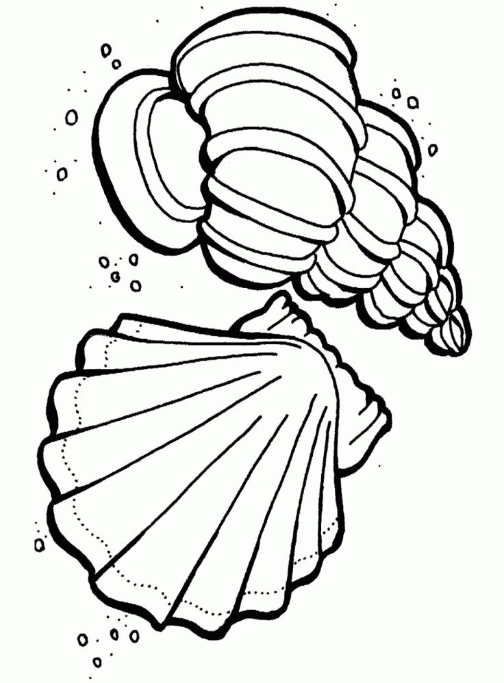 736x998 88 Best Nature Coloring Pages Images On Ocean Coloring