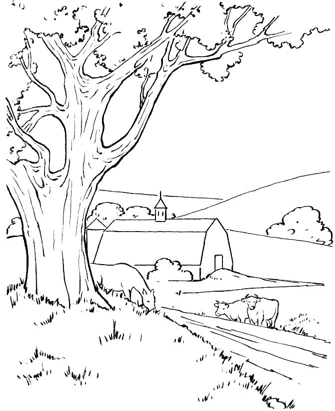 670x820 Nature Coloring Pages Nature Coloring Books Also Coloring Pages