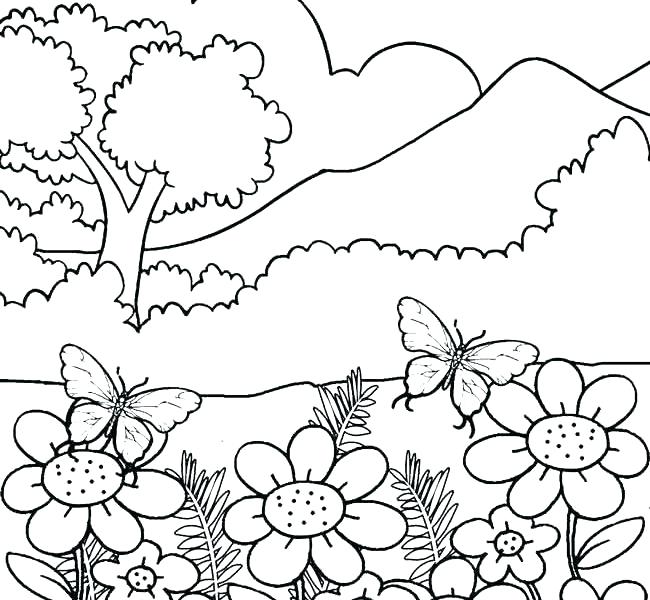650x600 Nature Coloring Pages Nature Coloring Books As Well As Beautiful