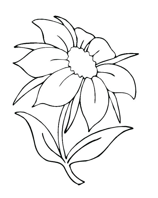 548x685 Nature Coloring Page 5 Senses Coloring Page Outdoor Coloring Pages
