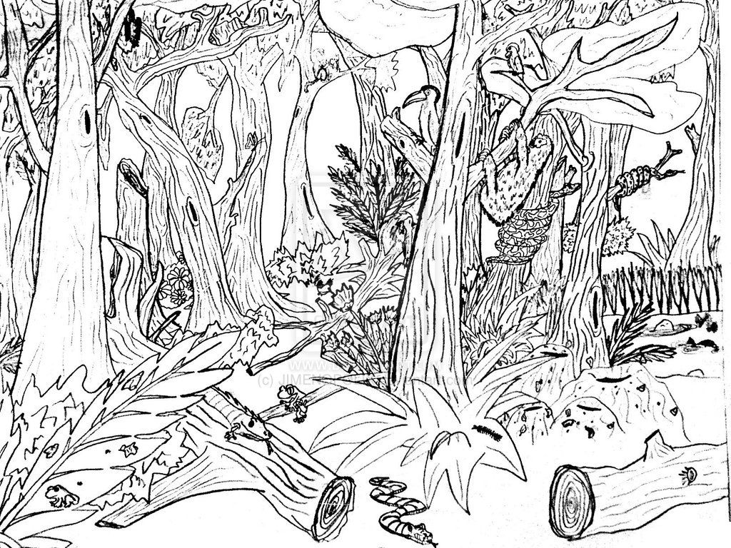 1024x768 Noted Free Printable Nature Coloring Pages For Adults Capricious