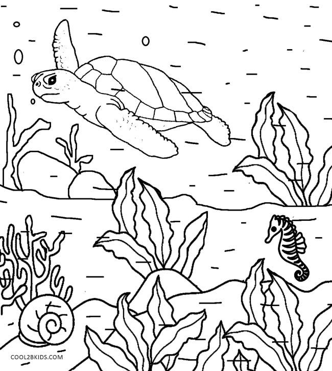 650x726 Printable Nature Coloring Pages For Kids Cool2bkids