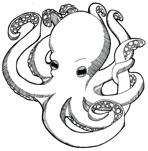 624x636 Nautical Coloring Pages Nautical Ocean Scene Coloring Page