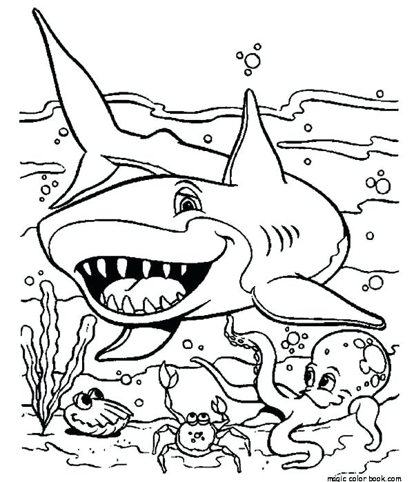 600x699 Shark Coloring Pages Printable Hammerhead Shark Coloring Page