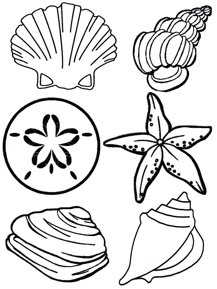 736x981 Nautical Star Coloring Pages Deepart