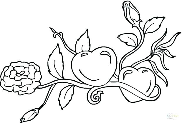 618x418 Coloring Pages Of Anchors Nautical Star Coloring Pages Nautical