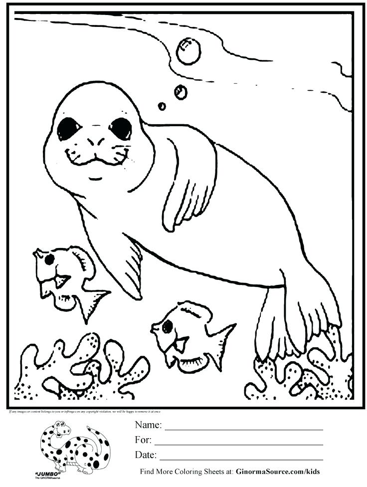 736x976 Inspiring Seal Coloring Page Seal Coloring Pages Navy Seal