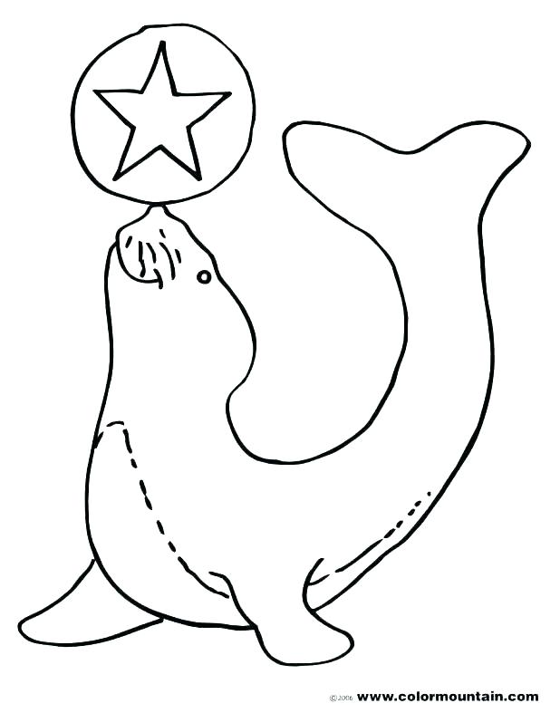618x787 Seal Coloring Pages Navy Seal Coloring Pages