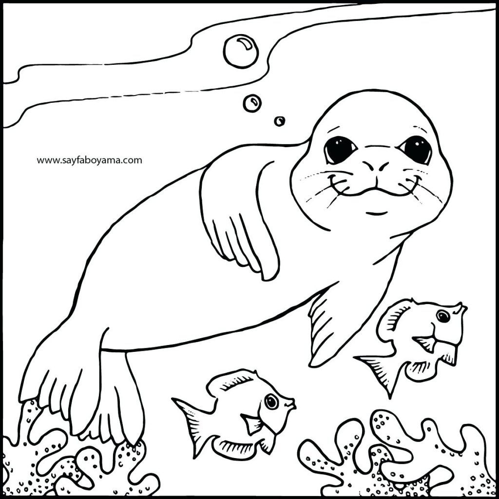 1024x1024 Coloring Page ~ Seal Coloring Page Arctic Seal Coloring Page. Free