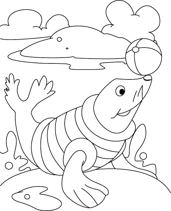 558x688 Navy Coloring Pages