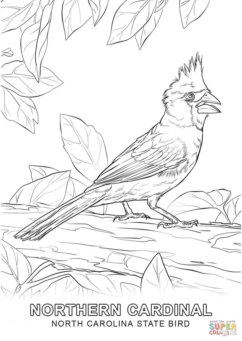 1020x1440 Nc State Bird Coloring Page