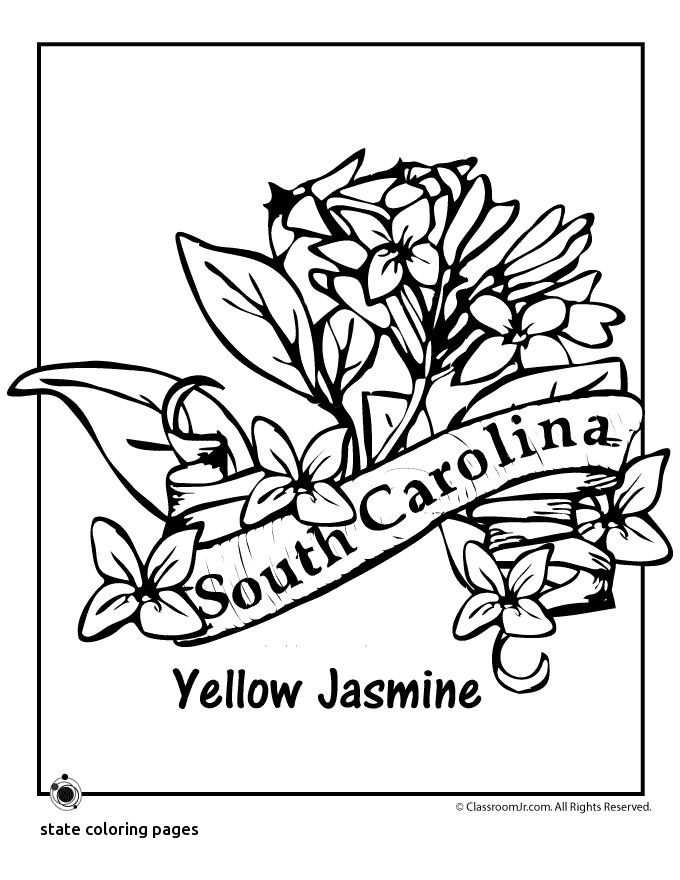 680x880 North Carolina State Symbol Coloring Page By Crayola Print Or