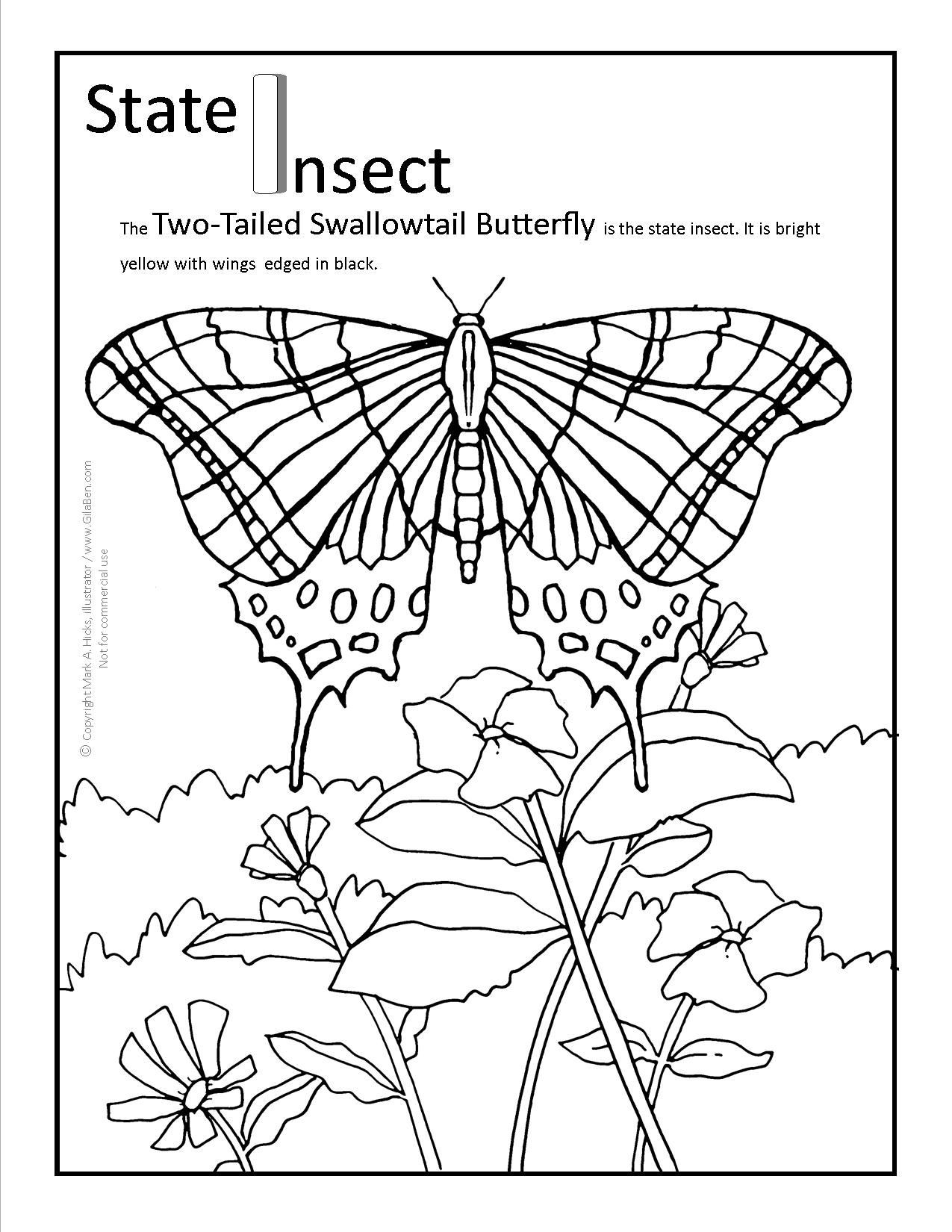 1275x1650 State Coloring Pages Beautiful Arizona Coloring Pages