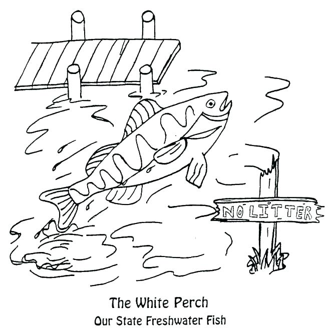 657x666 Best Coloring Pages Images On Etchings Nc State Coloring Pages