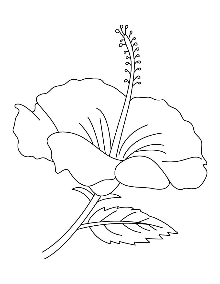 900x1163 Bible Coloring Pages Friendship Printables And Encouraging Words