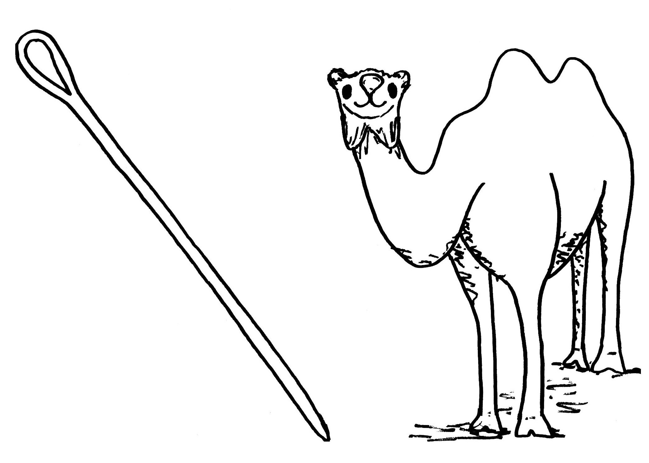 2085x1490 Camel And Needle Camels
