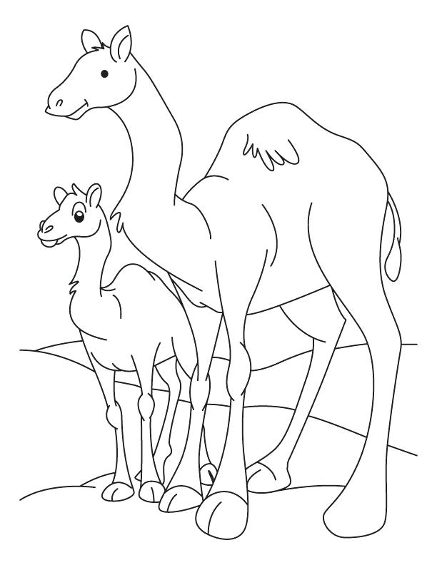 612x792 Camel Coloring Page Camel Outline Coloring Pages Bactrian Camel