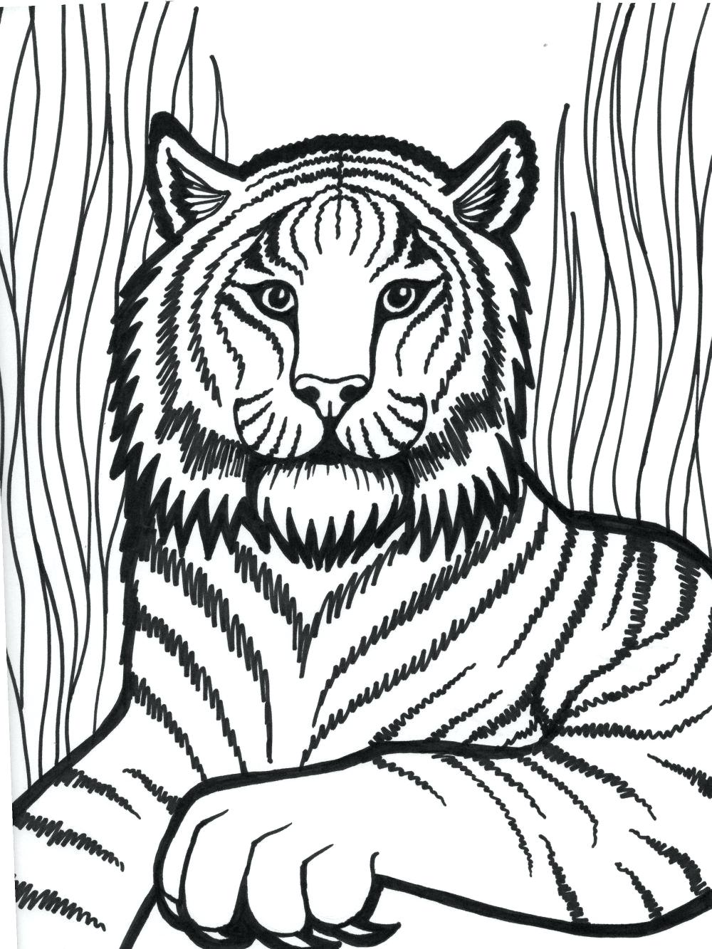 1000x1333 Coloring Pages ~ Daniel Tiger Coloring Pages Pictures Google