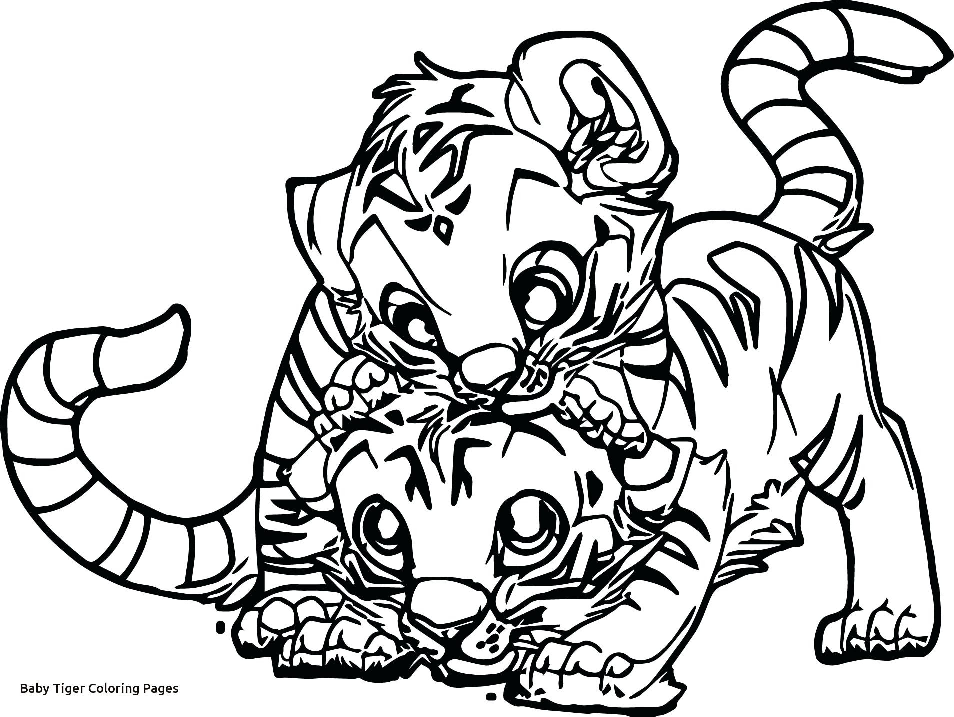 1908x1434 Baby Tigers Coloring Pages Acpra