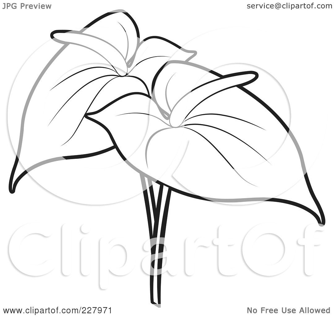 1080x1024 Nelson Mandela Colouring Pages
