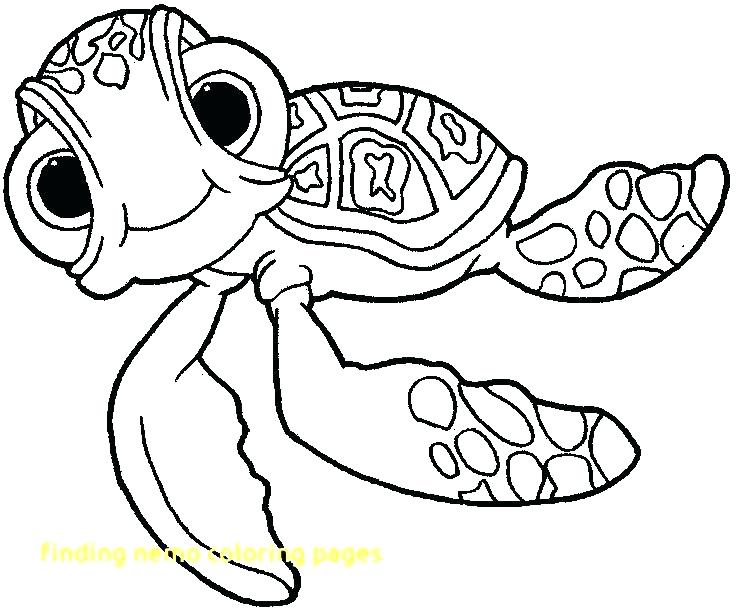 736x610 Finding Nemo Color Pages Finding Coloring Page Finding Coloring