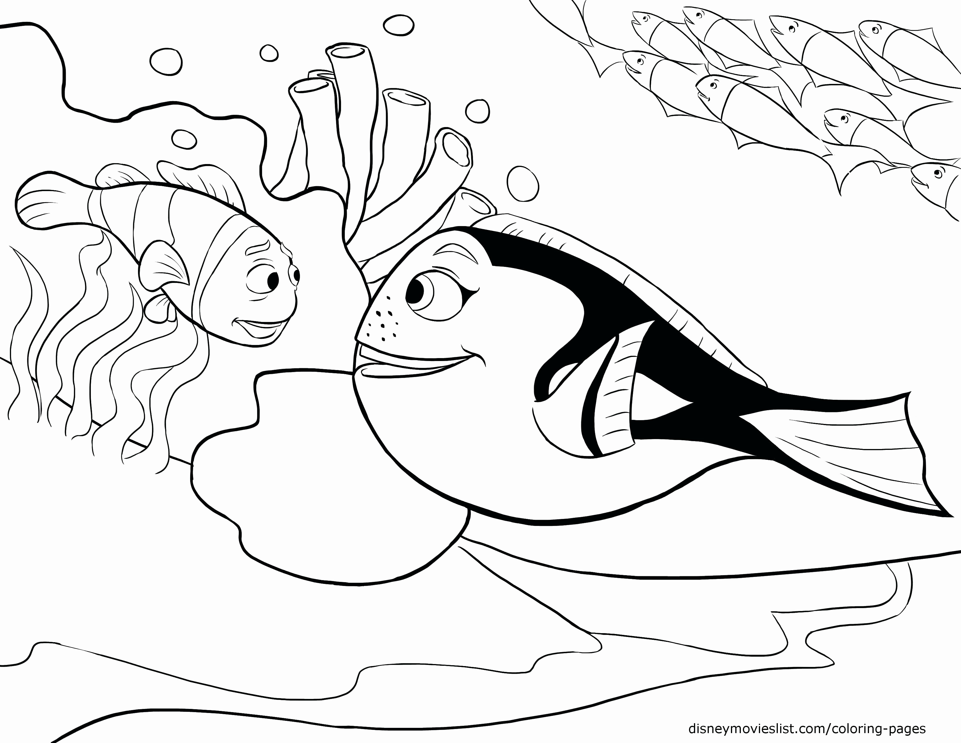 3300x2550 Finding Nemo Fish Tank Coloring Pages Trend To Print 13 Disney
