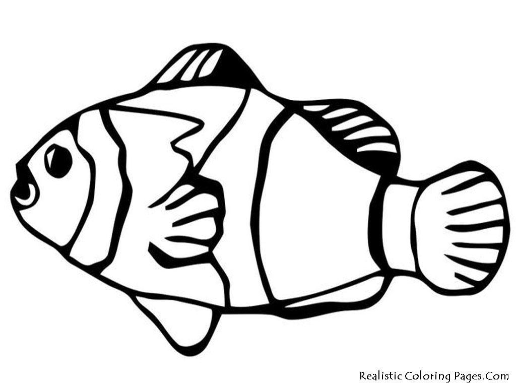 1024x768 Fish Coloring Pages Printable Nemo Reaic