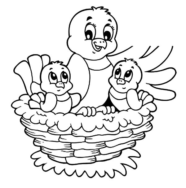 600x607 Bird And Her Baby Live In Bird Nest Coloring Pages Best Place
