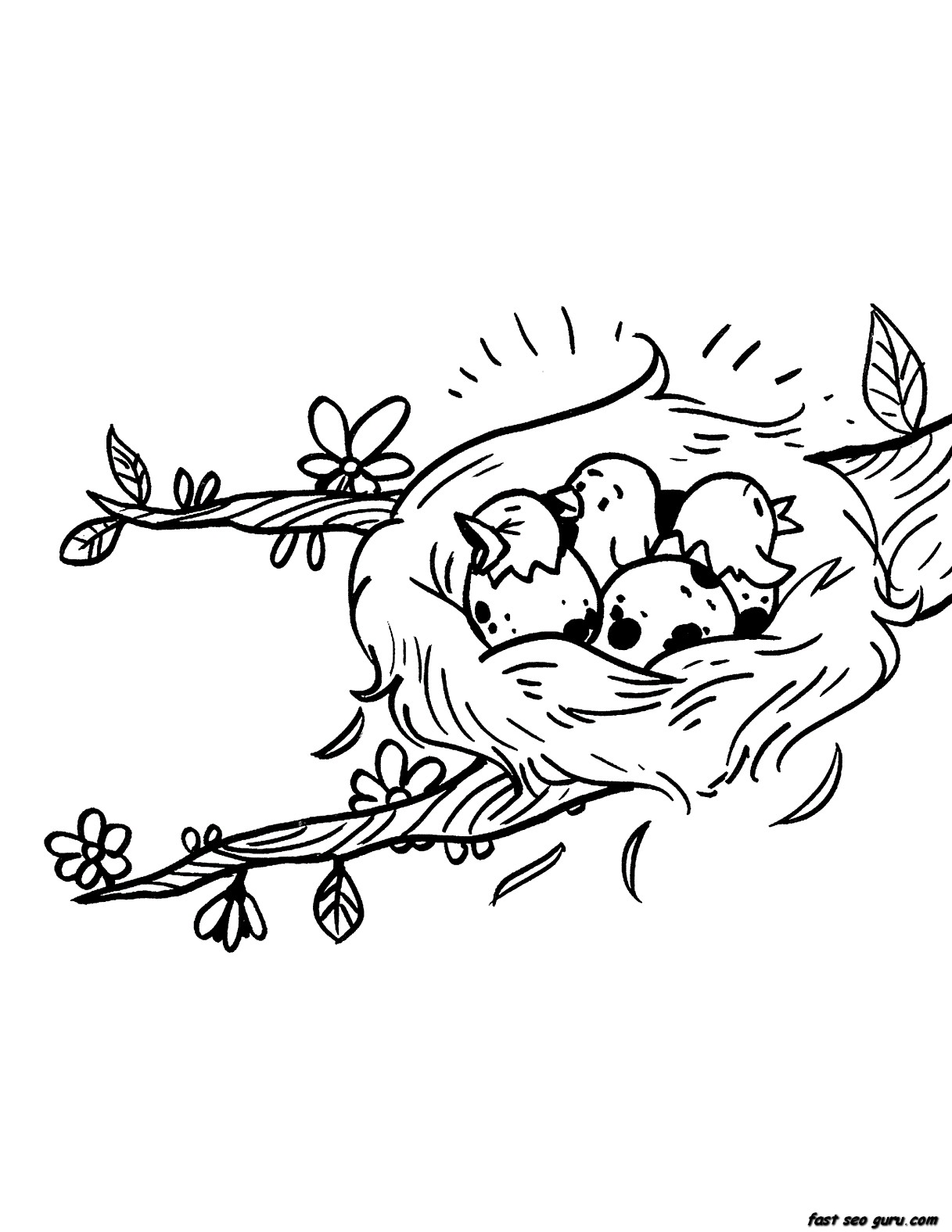 1217x1575 45 Bird Nest Coloring Page, Sarah Bell Smith December 2011