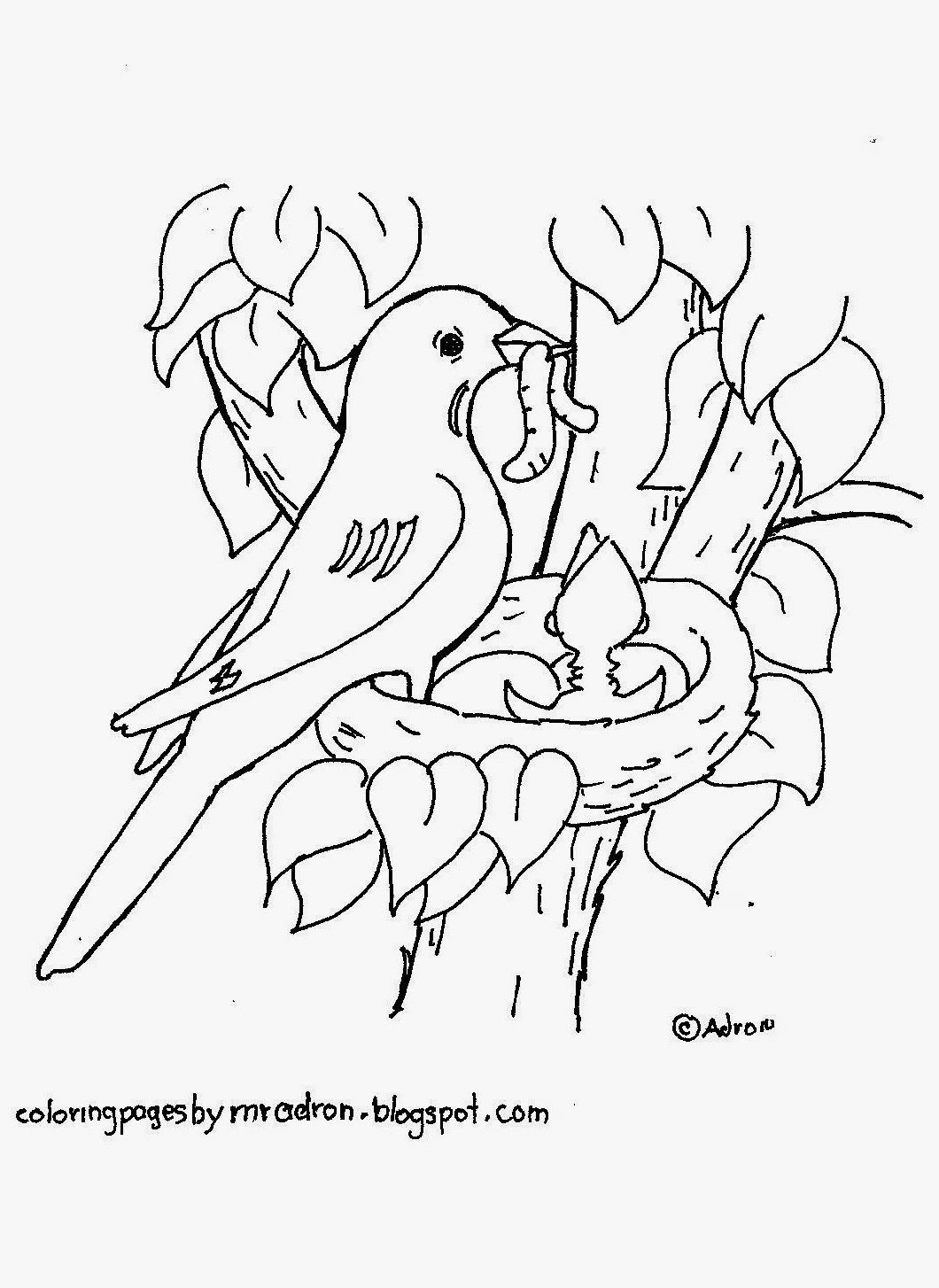 1060x1454 Free Printable Robin In Nest Coloring Page. Board 2