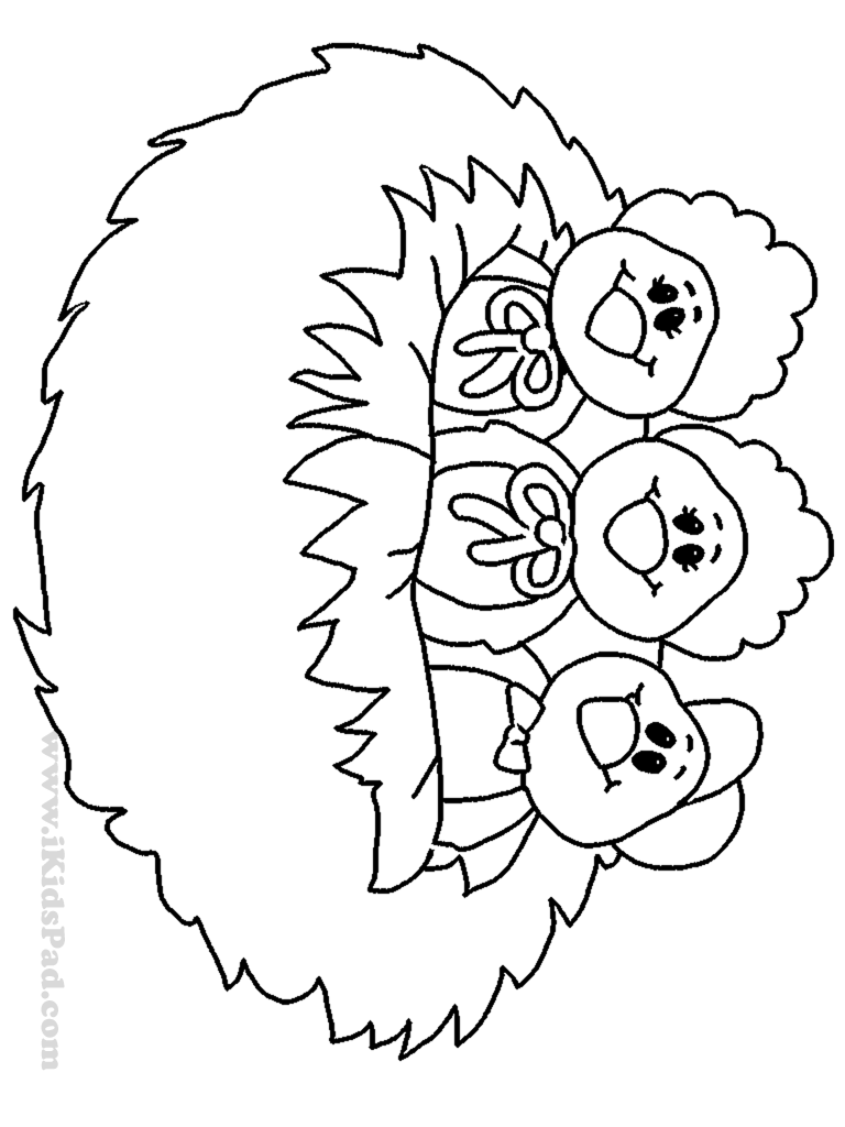 768x1024 Top 85 Nest Coloring Pages