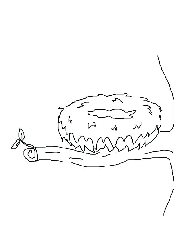 612x792 Bird Nest Coloring Page
