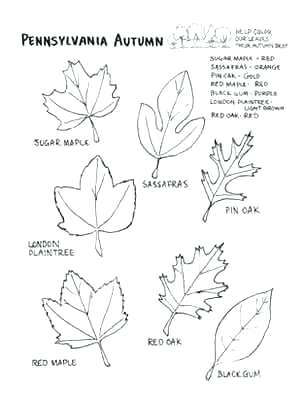 306x396 Coloring Pages Coloring Pages Click On An Image To View And Print