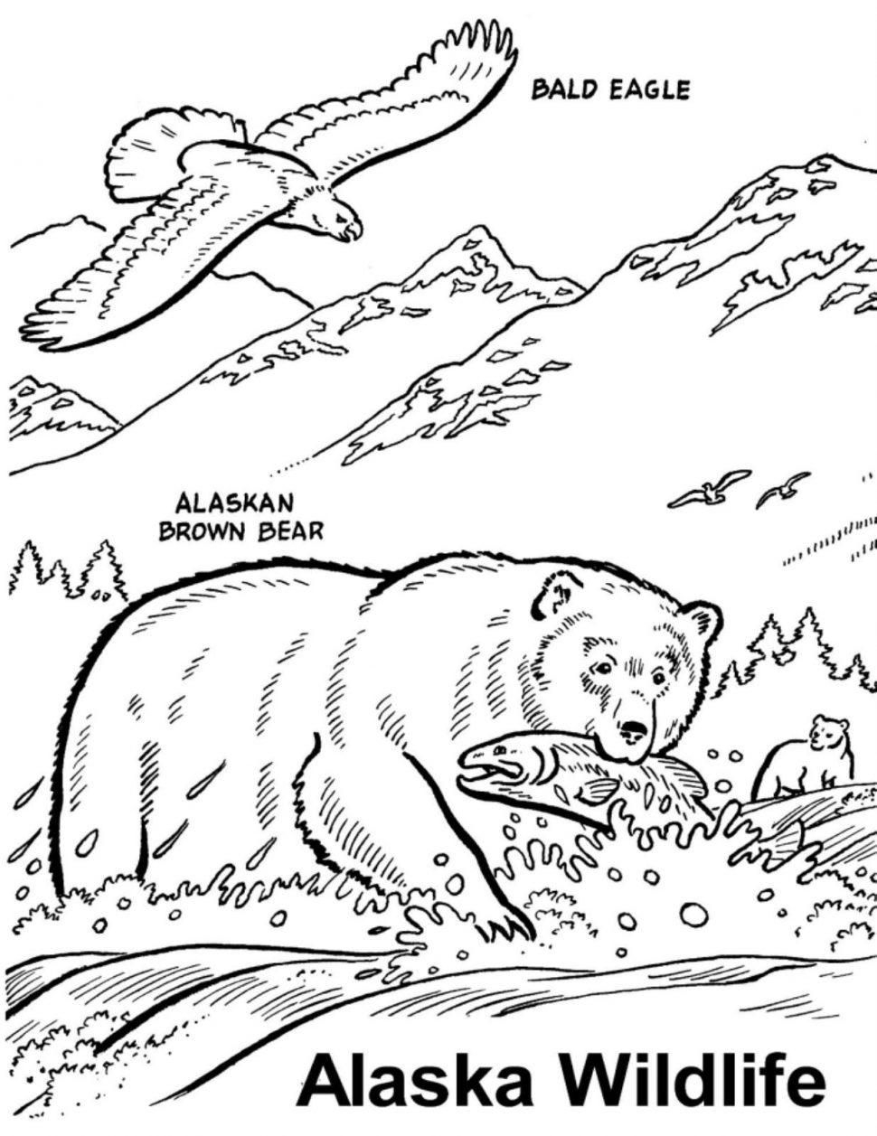 970x1257 Alaska Coloring Pages Printable Coll On Nevada State Bird Coloring